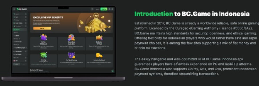 Bc Game Withdrawal A Comprehensive Guide to Cashing Out