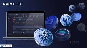 Comprehensive Insights Reviews PrimeXBT