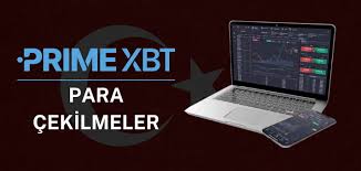 Discover the Benefits of Trading on the PrimeXBT Website Discover the Benefits of Trading on the PrimeXBT Website
