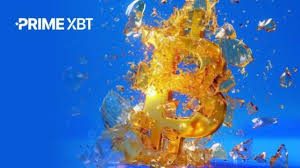 Discover the Opportunities of PrimeXBT Forex Trading Discover the Opportunities of PrimeXBT Forex Trading