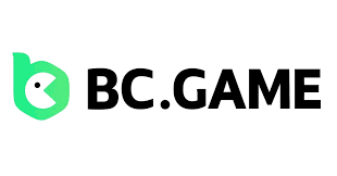 Everything You Need to Know About BC.Game Login 5
