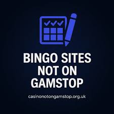 Explore Online Bingo Play Without Registration