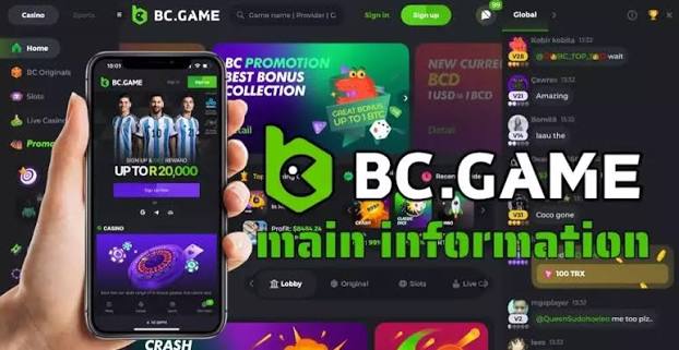 Understanding the BC.Game Login Process A Complete Guide